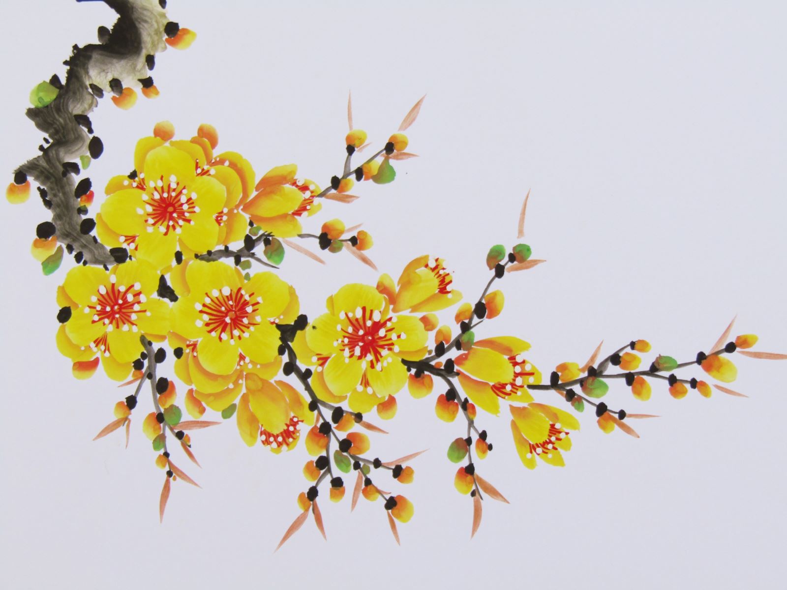 8 Cách vẽ cây mai đẹp đơn giản nhất cho bé  Trường THPT Lê Ích Mộc