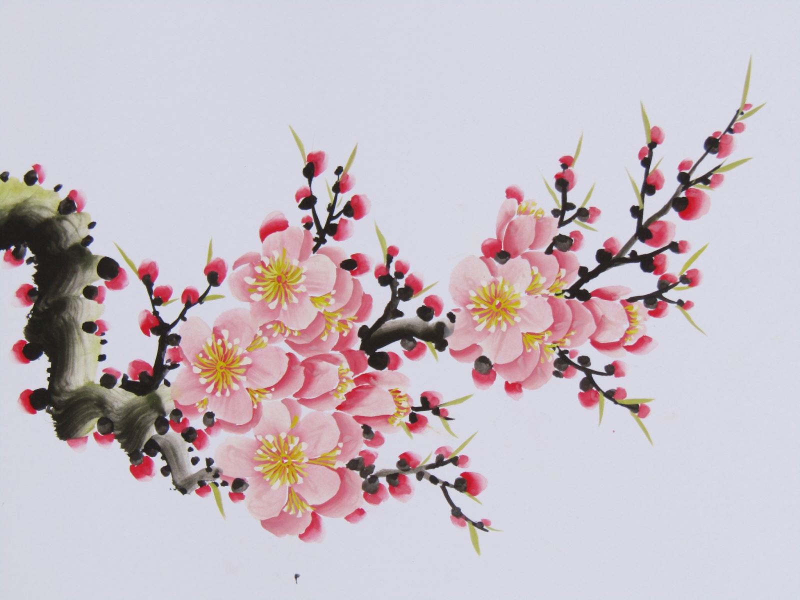 Cách vẽ cây hoa mai tết  Hungart  YouTube
